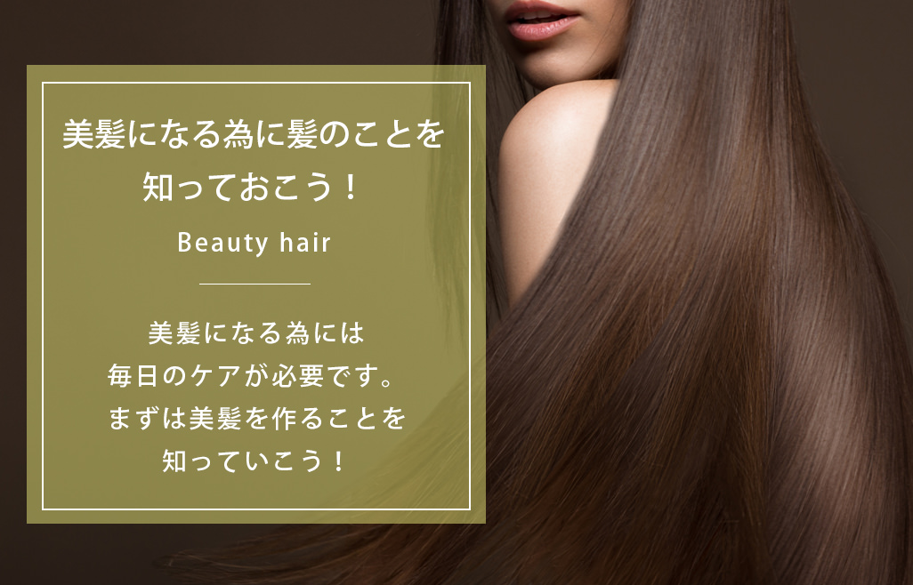 美髪になる為に髪のことを知っておこう ヘアケア通販